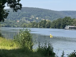 Mainschwimmen Juni 2026
